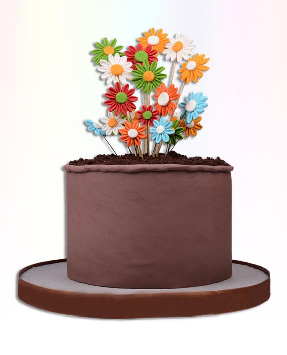 Doğum Günü Pasta 1143