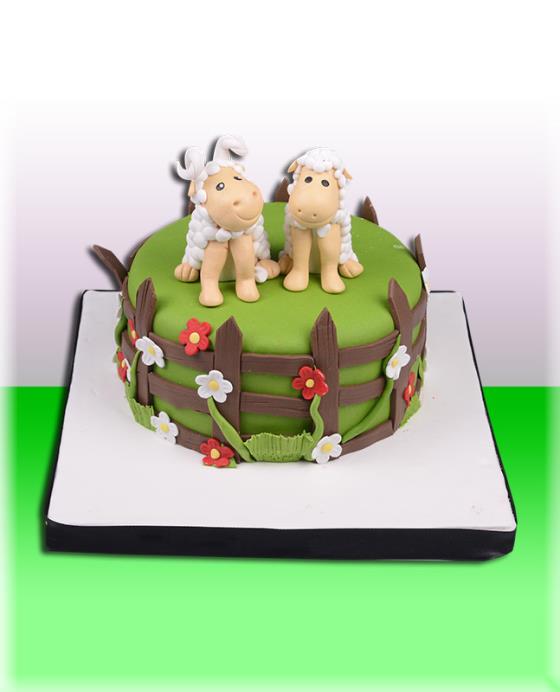 Doğum Günü Pasta 1073